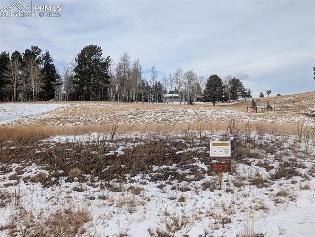 307 Pinaceae Heights, Divide, CO 80814