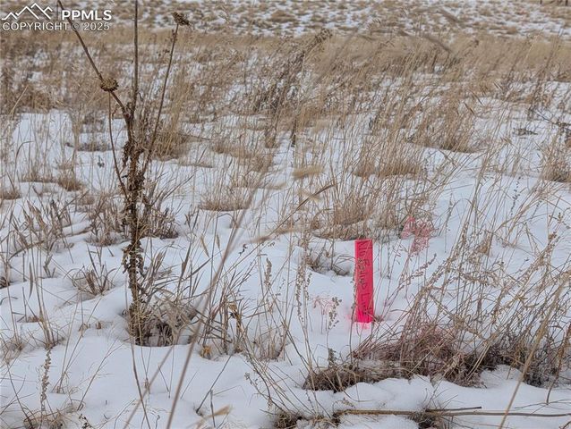 307 Pinaceae Heights, Divide, CO 80814