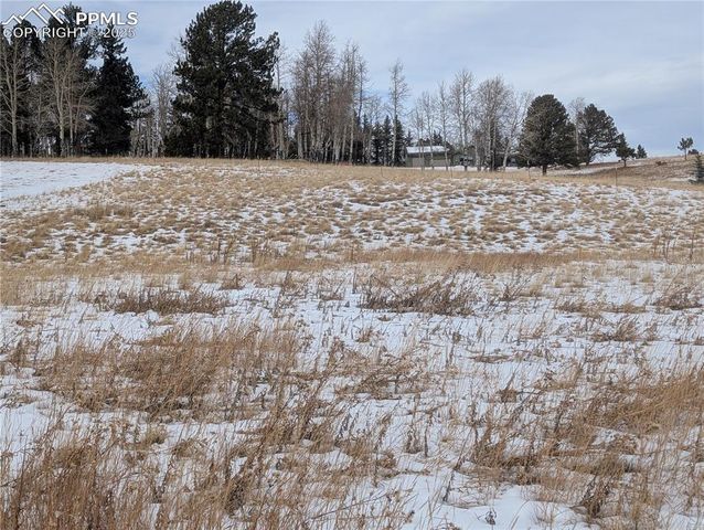 307 Pinaceae Heights, Divide, CO 80814