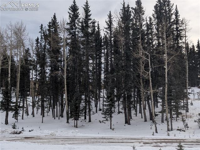 307 Pinaceae Heights, Divide, CO 80814