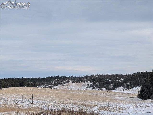 307 Pinaceae Heights, Divide, CO 80814