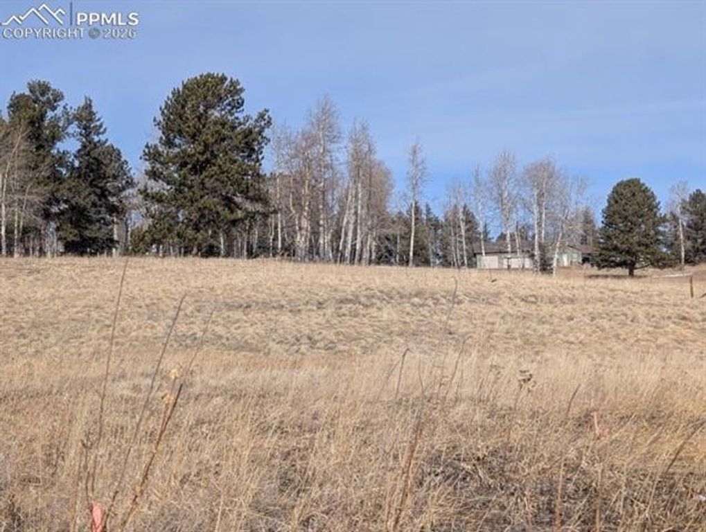 307 Pinaceae Heights, Divide, CO 80814 — photo 2