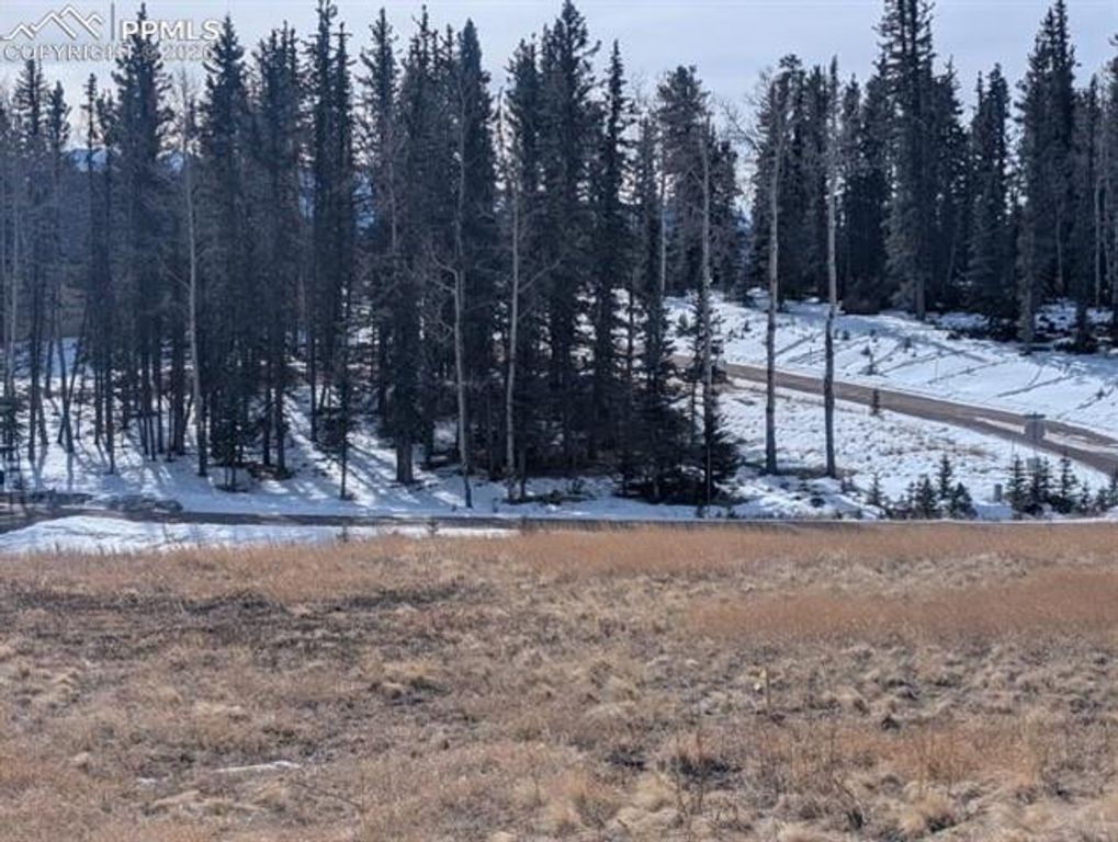 307 Pinaceae Heights, Divide, CO 80814 — photo 3