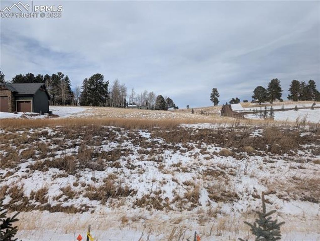 307 Pinaceae Heights, Divide, CO 80814 — photo 4