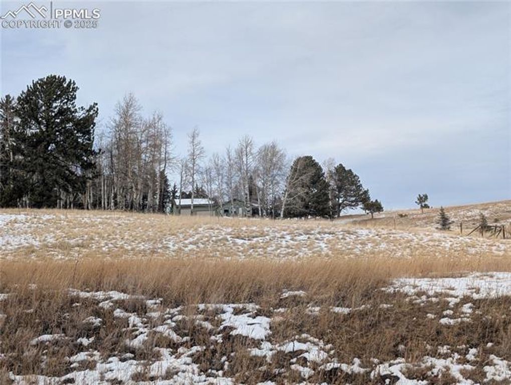 307 Pinaceae Heights, Divide, CO 80814 — photo 5
