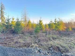 378 Hawkins Road, Winlock, WA 98565