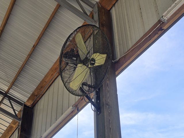 942 Lexi Ln, Clifton, TN 38425