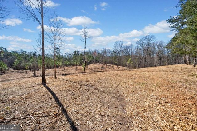 426 Mt. Olive Church Lane, White, GA 30184