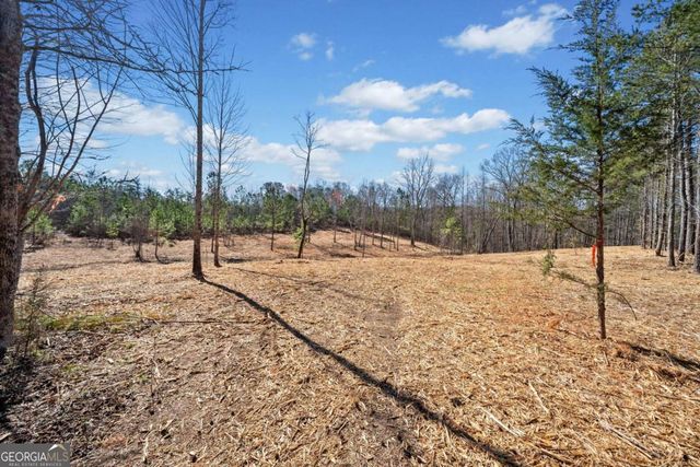 426 Mt. Olive Church Lane, White, GA 30184