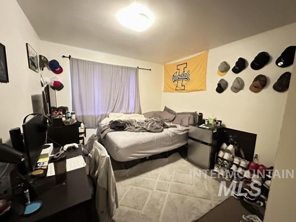 230, 232, 234 Baker St, Moscow, ID 83843 photo 29