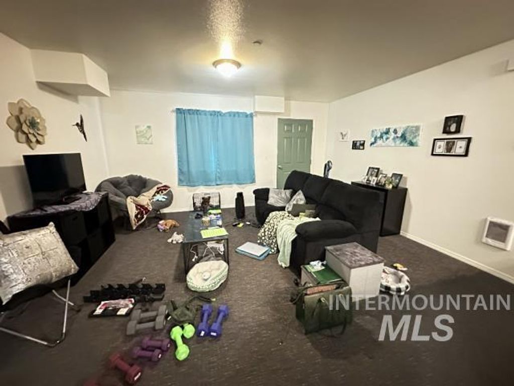 230, 232, 234 Baker St, Moscow, ID 83843 photo 41