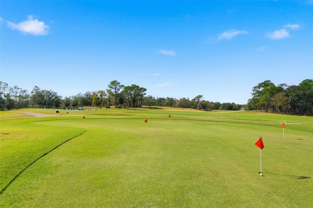 19 POPLAR COURT S, Homosassa, FL 34446