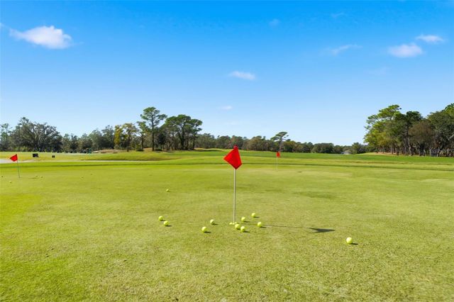 19 POPLAR COURT S, Homosassa, FL 34446