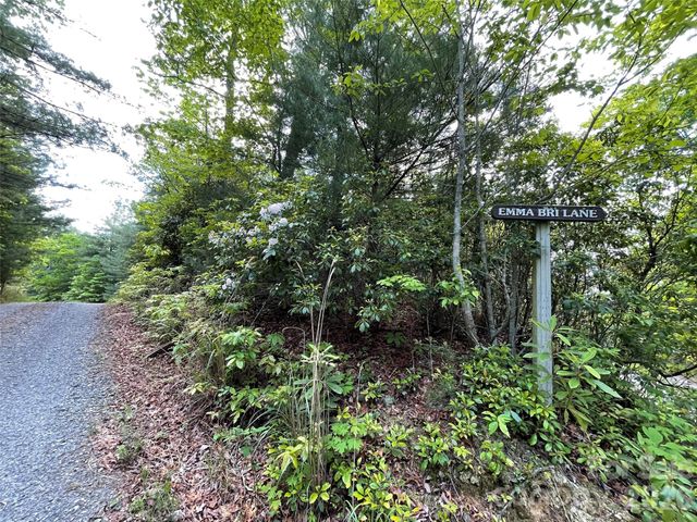 72 Emma Bri Lane, Penrose, NC 28766
