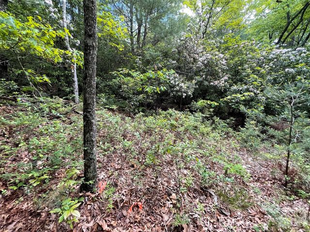 72 Emma Bri Lane, Penrose, NC 28766
