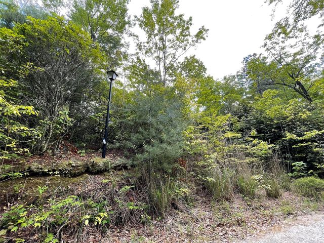 72 Emma Bri Lane, Penrose, NC 28766