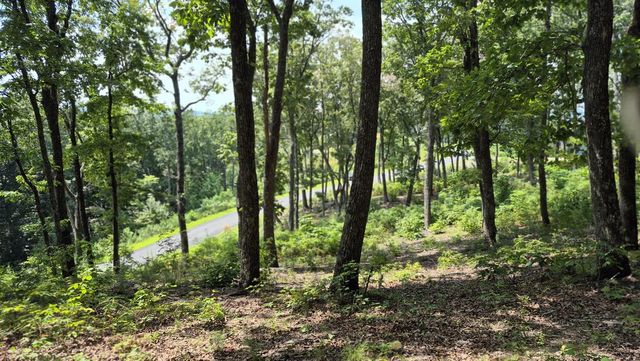 1.5Acres High Summit Drive, Talking Rock, GA 30540