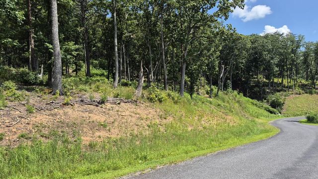 1.5Acres High Summit Drive, Talking Rock, GA 30540