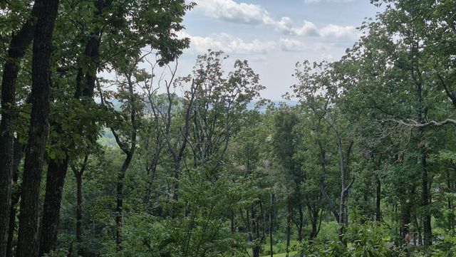1.5Acres High Summit Drive, Talking Rock, GA 30540