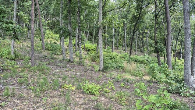 1.5Acres High Summit Drive, Talking Rock, GA 30540