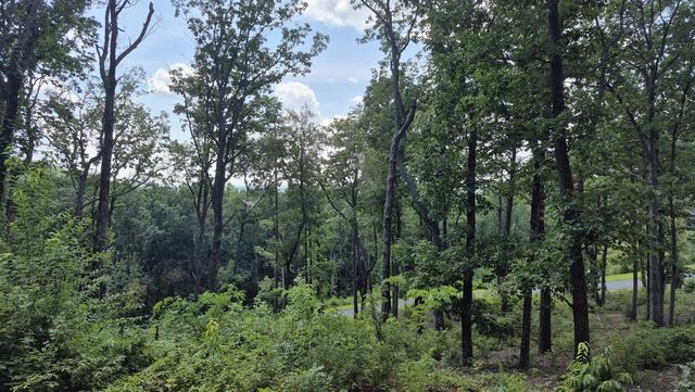 1.5Acres High Summit Drive, Talking Rock, GA 30540
