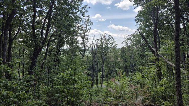 1.5Acres High Summit Drive, Talking Rock, GA 30540