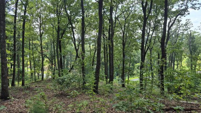 1.5Acres High Summit Drive, Talking Rock, GA 30540