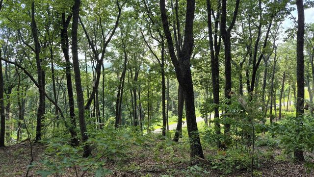 1.5Acres High Summit Drive, Talking Rock, GA 30540