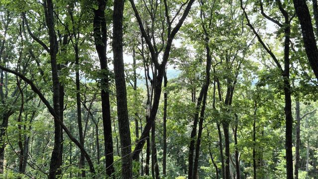 1.5Acres High Summit Drive, Talking Rock, GA 30540