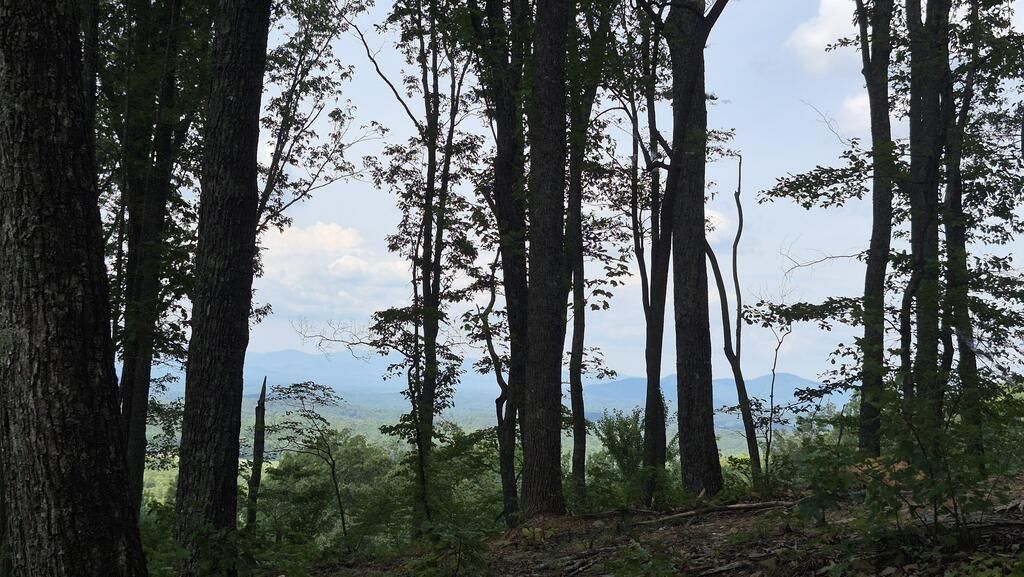 1.5Acres High Summit Drive, Talking Rock, GA 30540