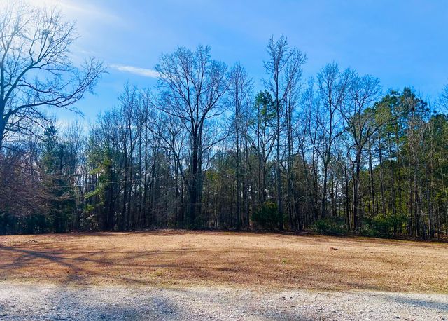 1050 Jones Martin Road, Lincolnton, GA 30817