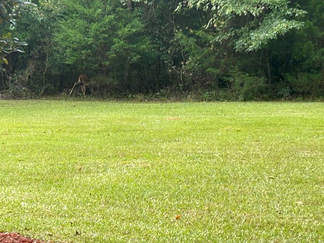 1050 Jones Martin Road, Lincolnton, GA 30817