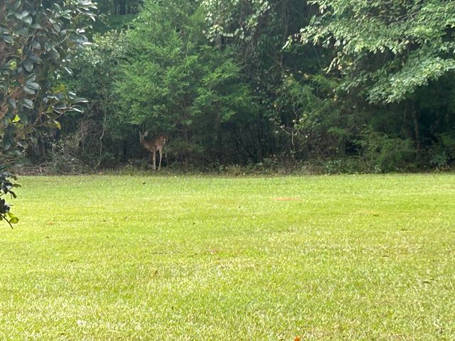 1050 Jones Martin Road, Lincolnton, GA 30817