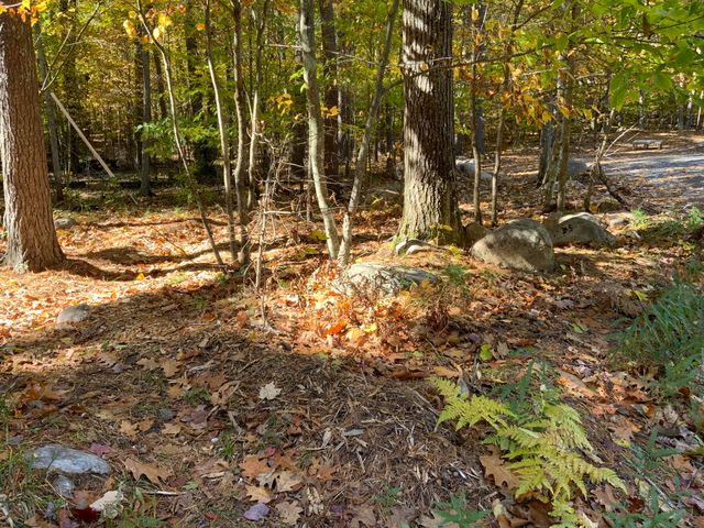 93 Beech Street, Jay, NY 12941