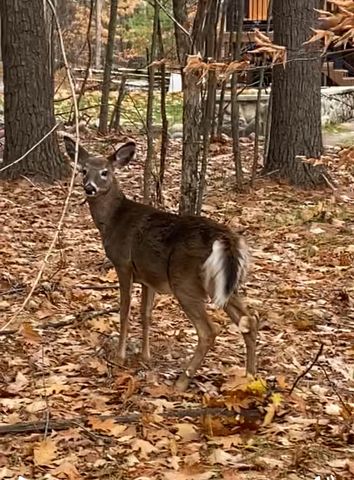 93 Beech Street, Jay, NY 12941