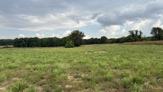 5 William Woodard Road, Springfield, TN 37172