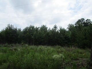 7905 Morris Bing Road, Hollywood, SC 29449