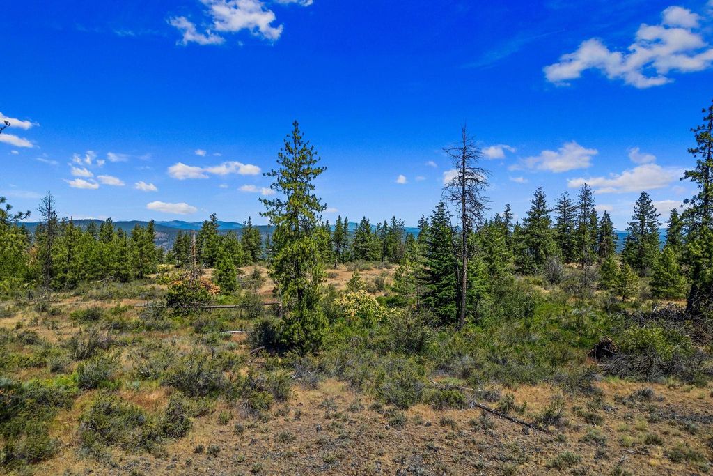 51200 E Whispering Pines Dr, Reardan, WA 99029