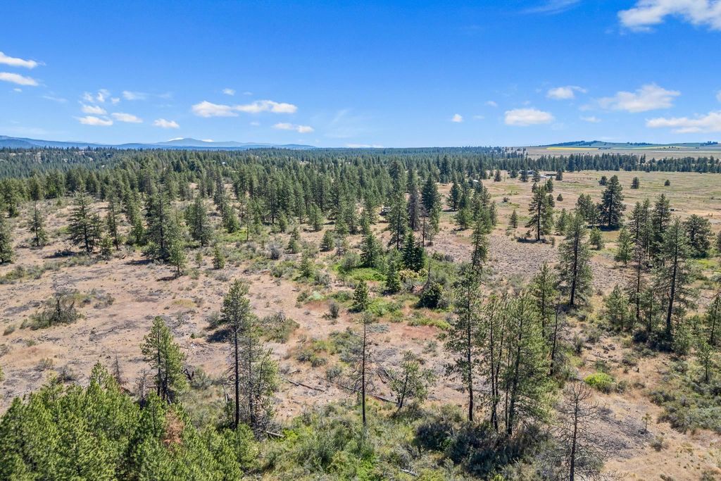 51200 E Whispering Pines Dr, Reardan, WA 99029 photo 11