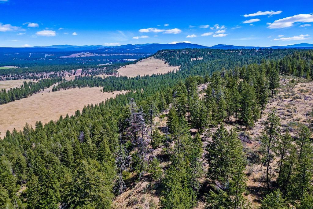 51200 E Whispering Pines Dr, Reardan, WA 99029 photo 12