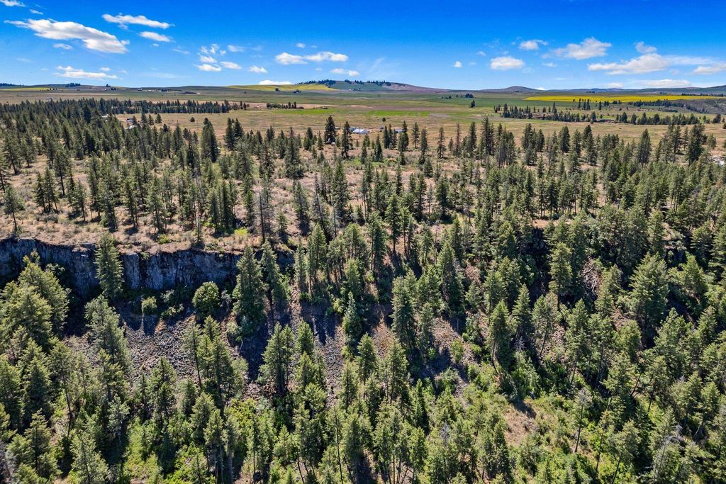 51200 E Whispering Pines Dr, Reardan, WA 99029 photo 13