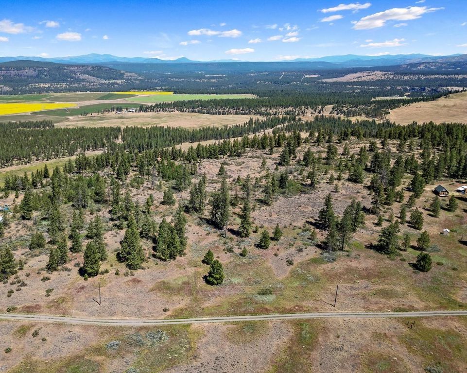 51200 E Whispering Pines Dr, Reardan, WA 99029 photo 3
