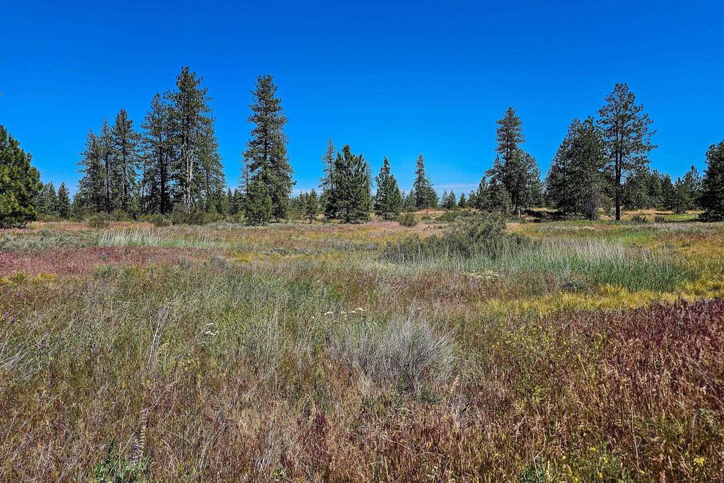 51200 E Whispering Pines Dr, Reardan, WA 99029 photo 6