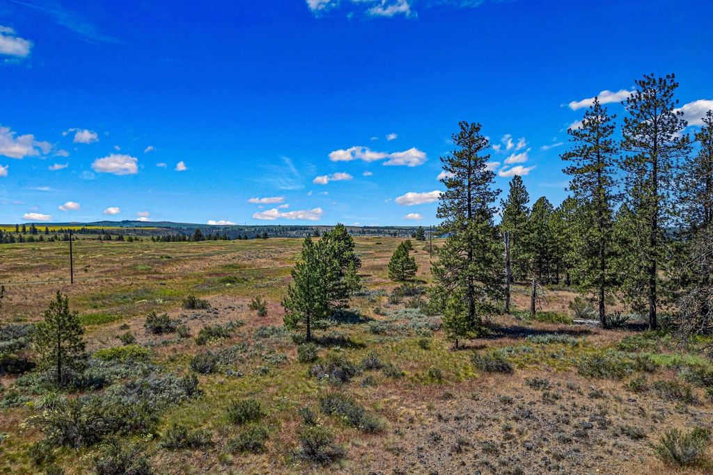 51200 E Whispering Pines Dr, Reardan, WA 99029 photo 7