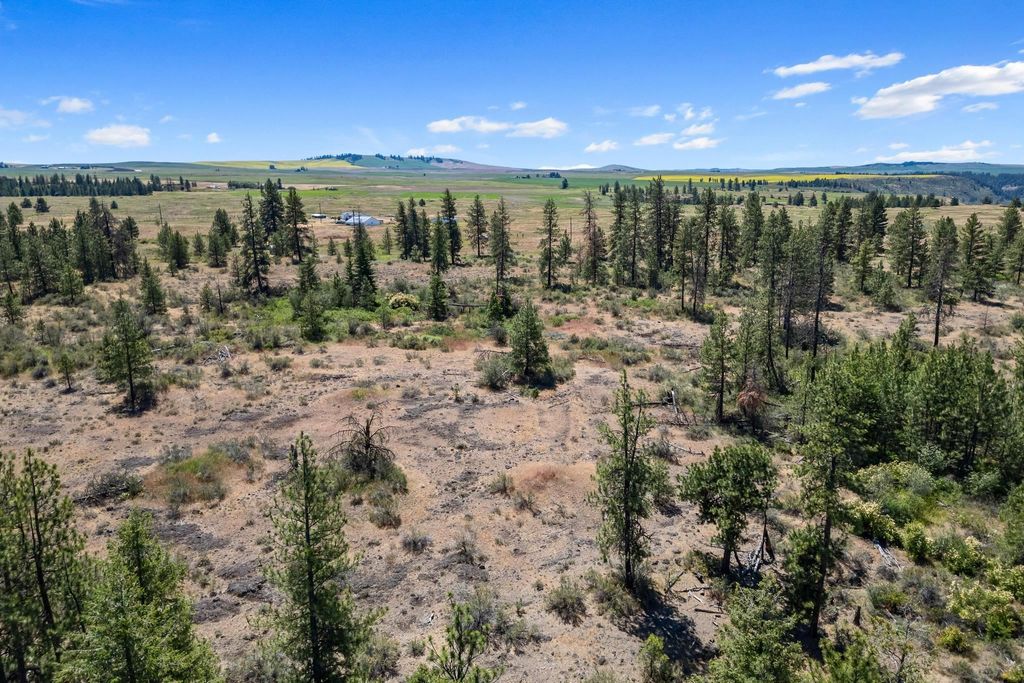 51200 E Whispering Pines Dr, Reardan, WA 99029 photo 8