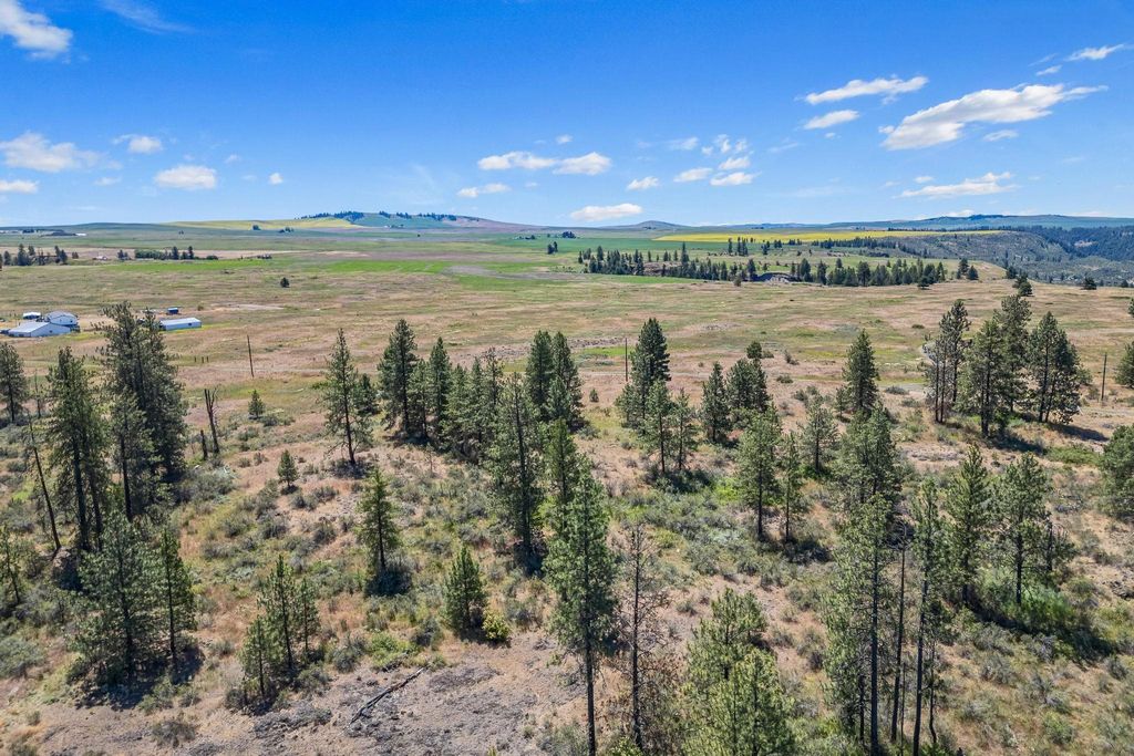 51200 E Whispering Pines Dr, Reardan, WA 99029 photo 10