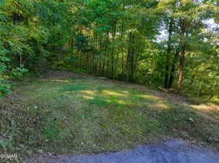 1020 Pine Top Lane, Gatlinburg, TN 37738