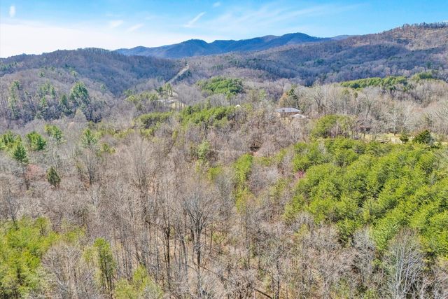 1164 DRY HILL RD, Ferrum, VA 24088