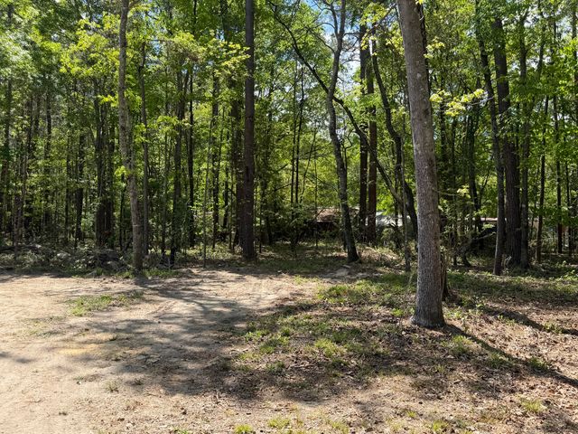 115 Ash Hill Drive, Eutawville, SC 29048