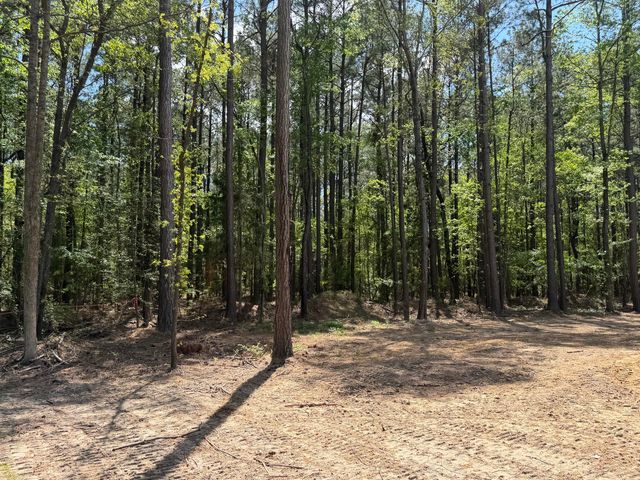 115 Ash Hill Drive, Eutawville, SC 29048
